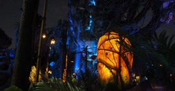 Visiting Pandora World of Avatar at Night