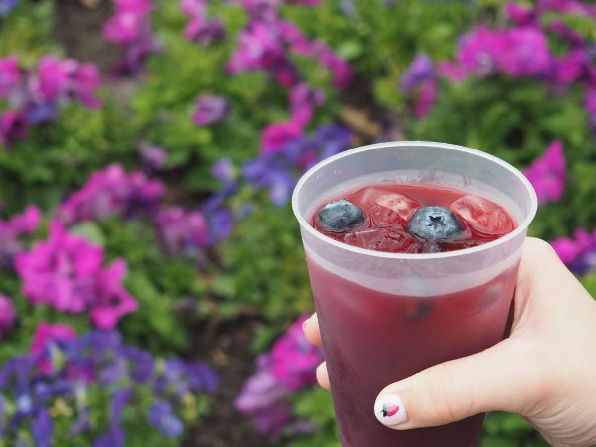 Bloomin’ Blueberry Lemon and Ginger Tea Recipe from Epcot’s Flower and Garden Festival