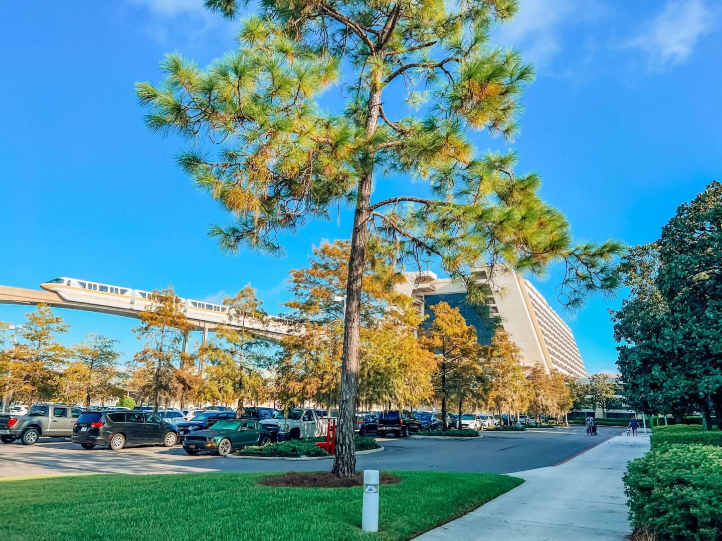 Contemporary Resort Disney World Trails