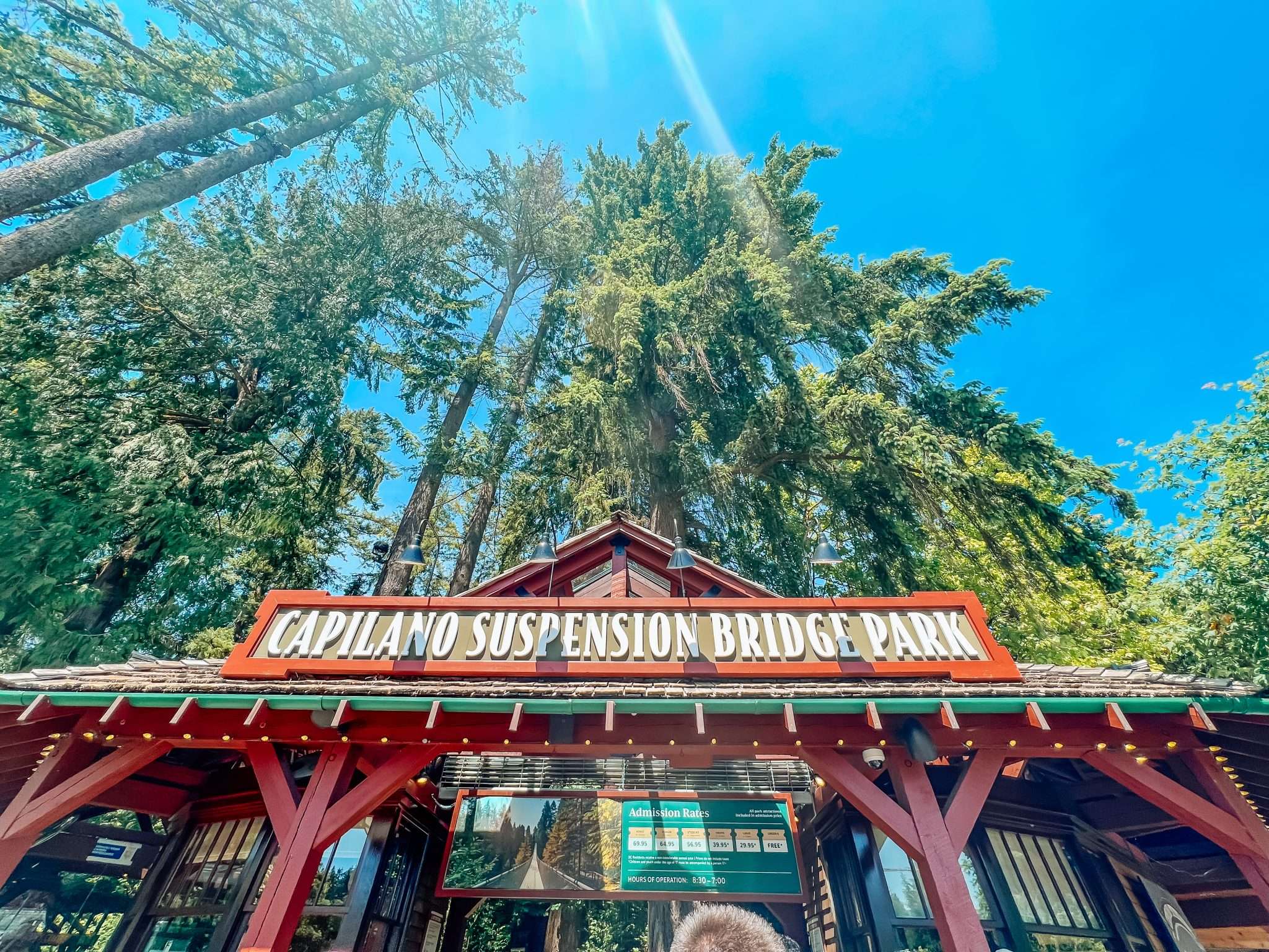 Capilano Suspension Bridge Park, Things to do before your Disney Cruise to Alaska from Vancouver