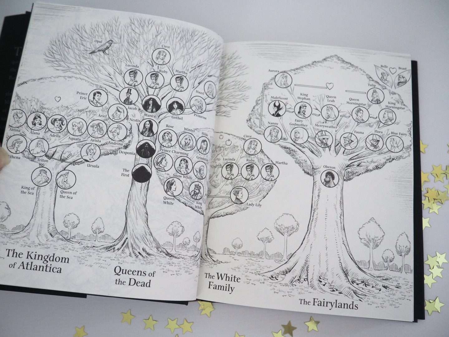 Disney Villains Book Series Review