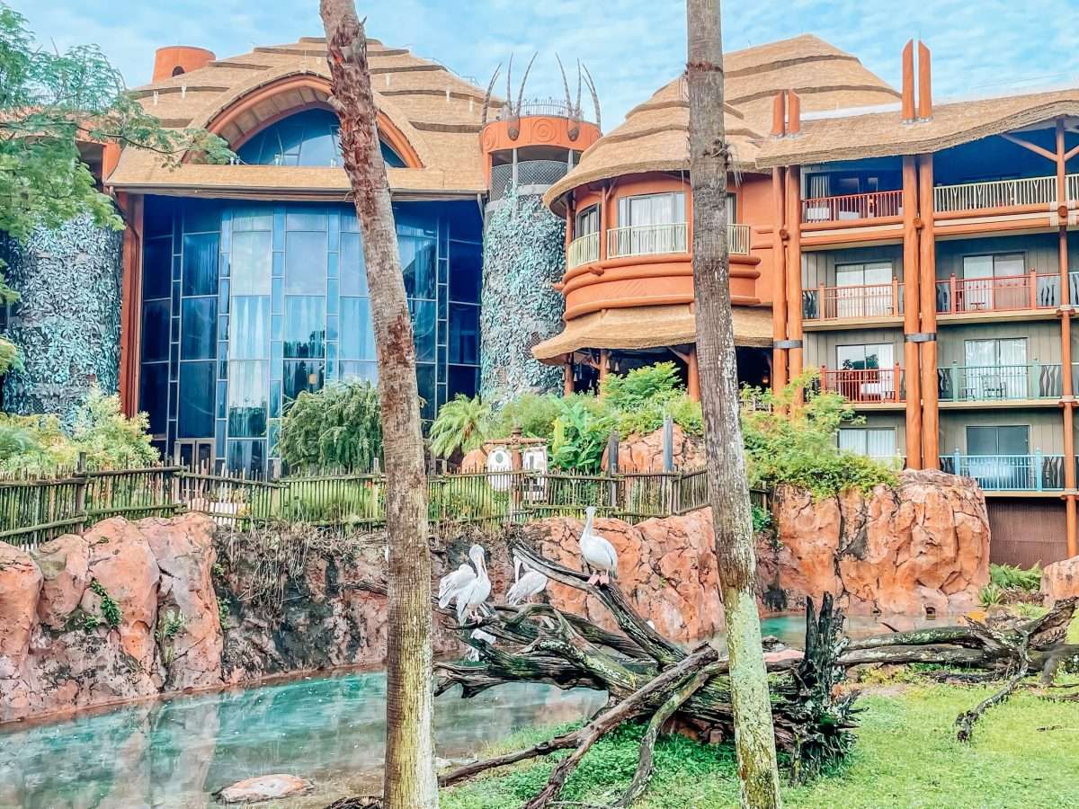 Animal Kingdom Lodge at Disney World