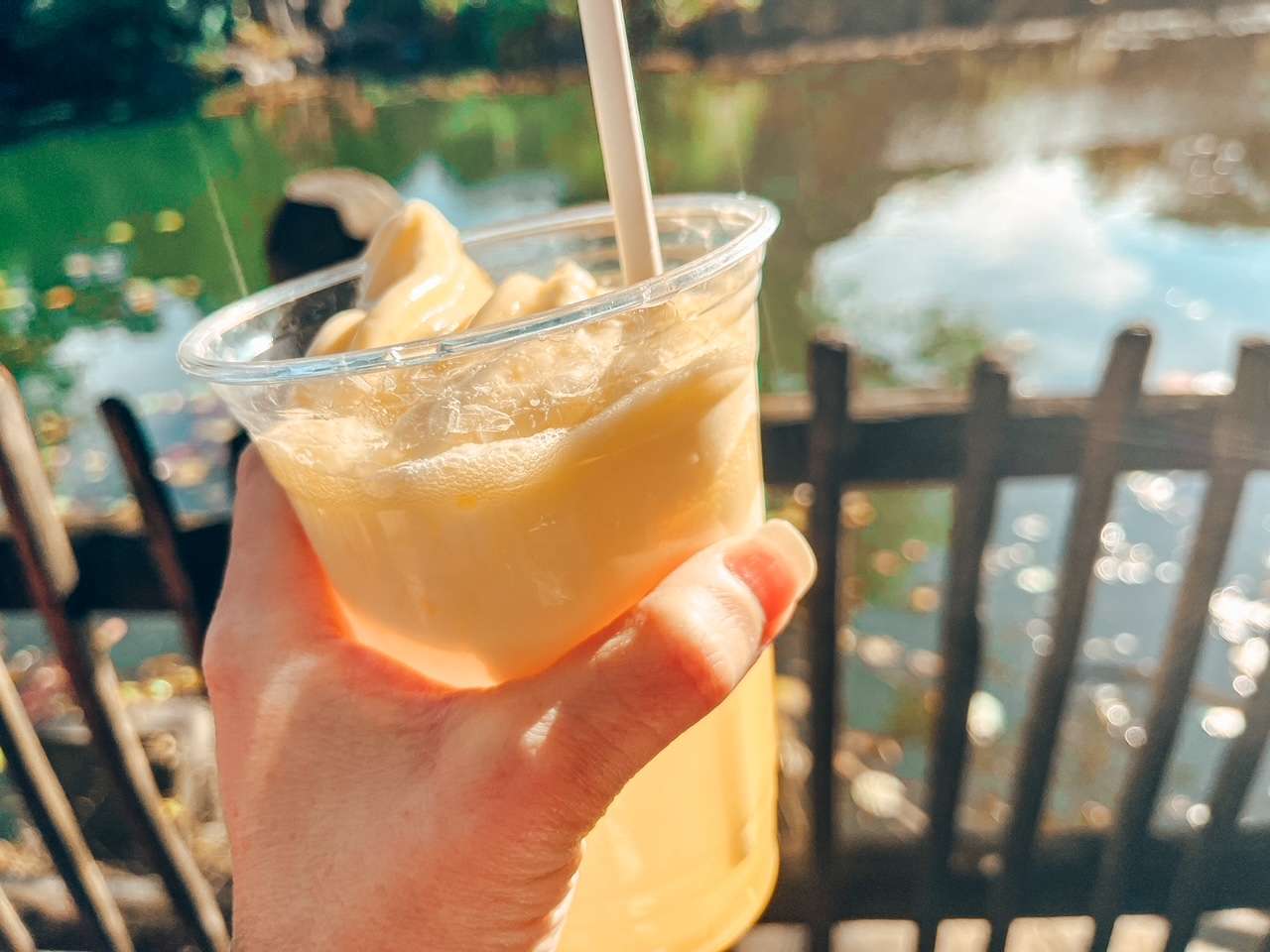 Dole Whip Hard Cider at Animal Kingdom