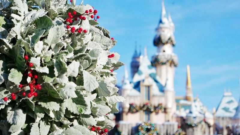 Christmas at Disneyland Park Disney Castle