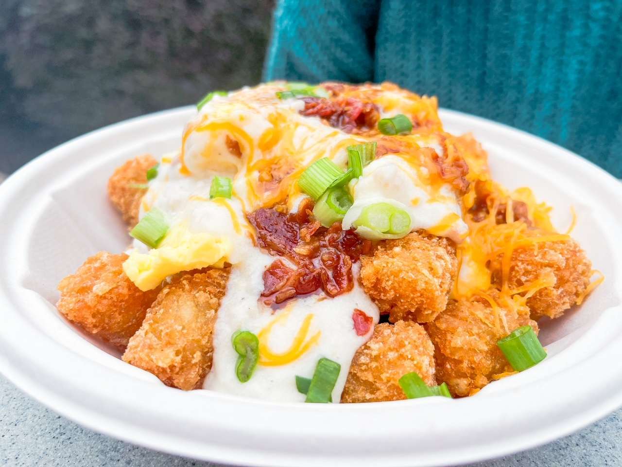 Disney Snacks Loaded Tots in Magic Kingdom