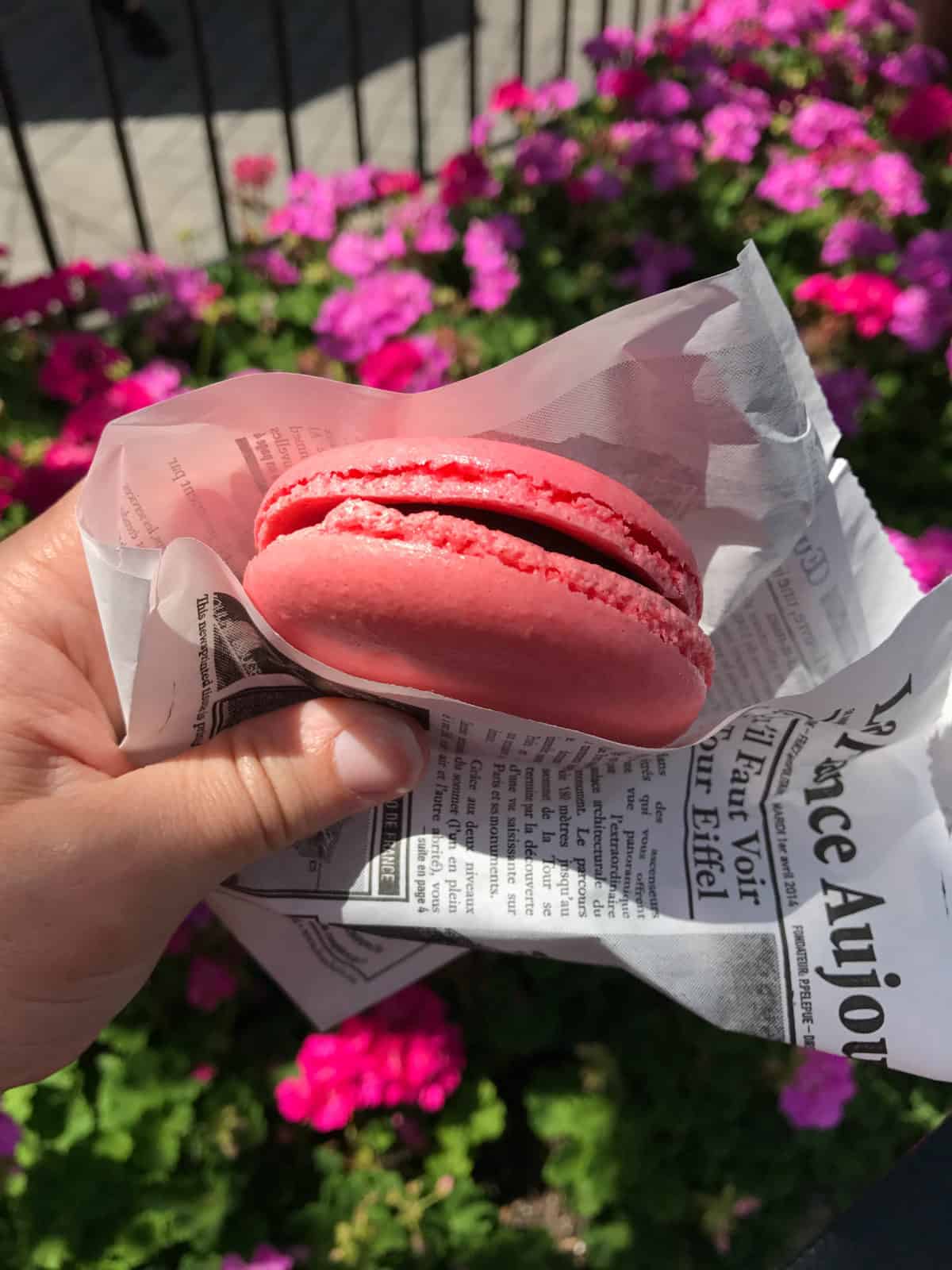 Macaron sandwich Epcot Park Disney Snack