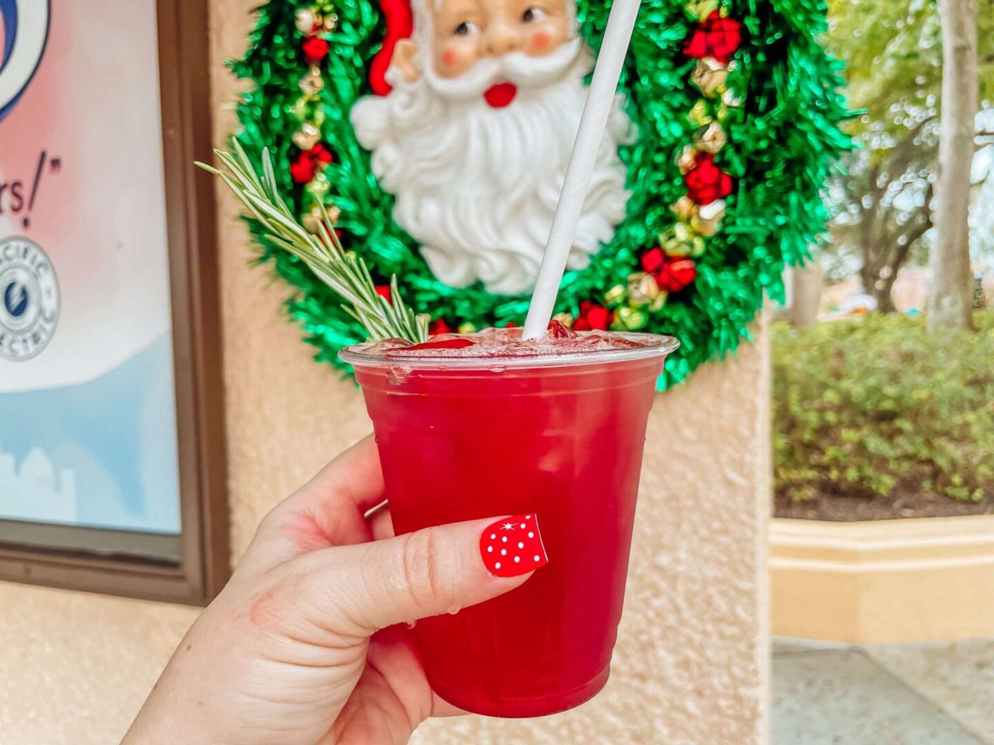 Christmas Snacks Drinks at Hollywood Studios