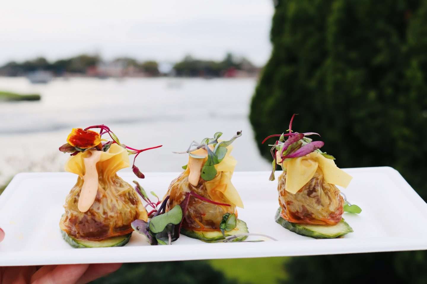 Food at Epcot Festival of the Arts