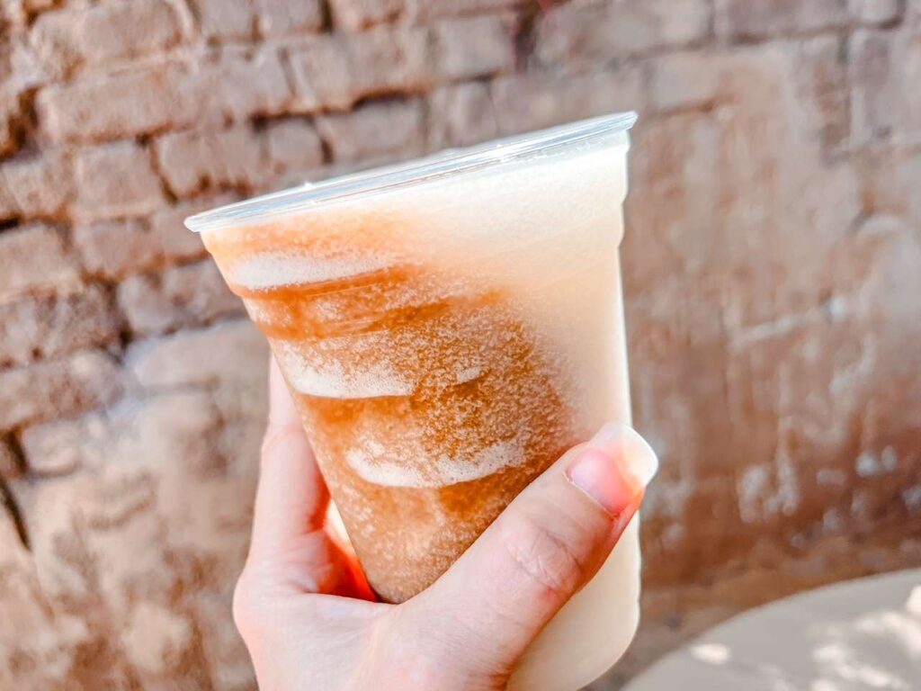 Ice Tea Slushy at Magic Kingdom