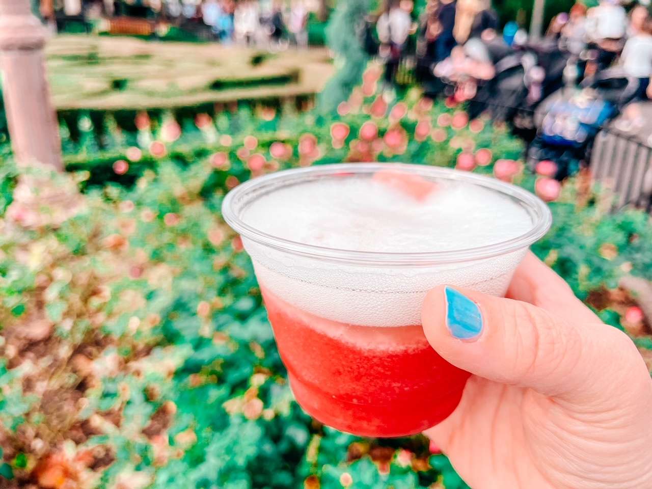 Drinks at Festival of the Arts Disney World France