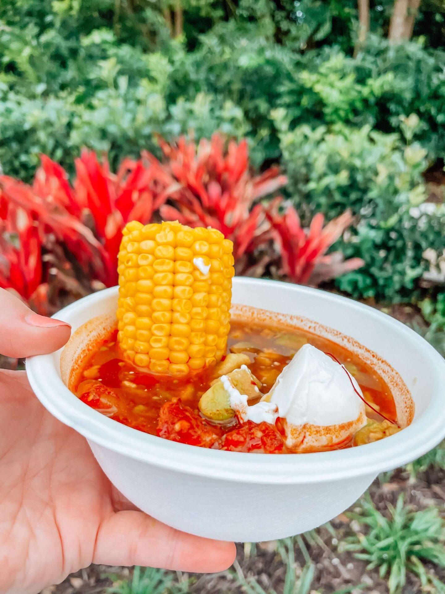 Encanto Booth Festival of the Arts Soup