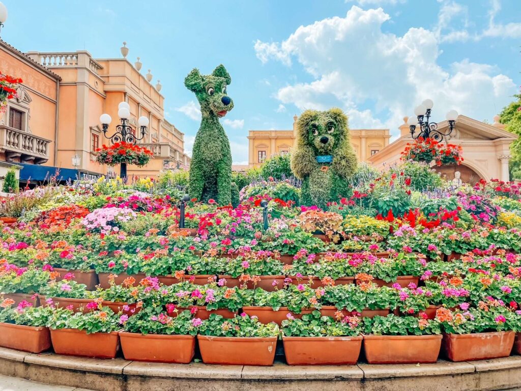Lady and the Tramp Flower and Garden