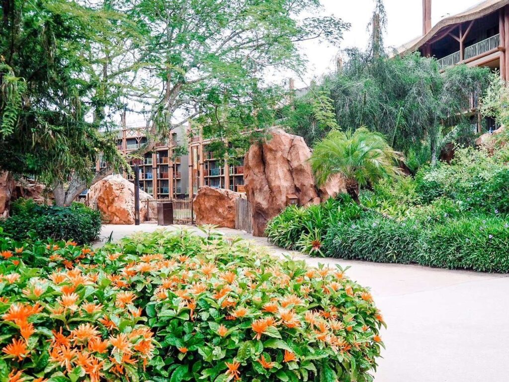 AKL trails and pathways