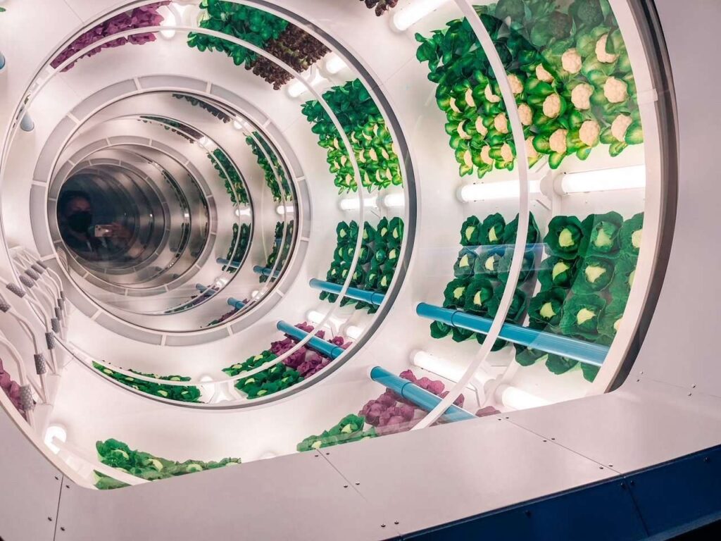 space 220 vegetable tunnel