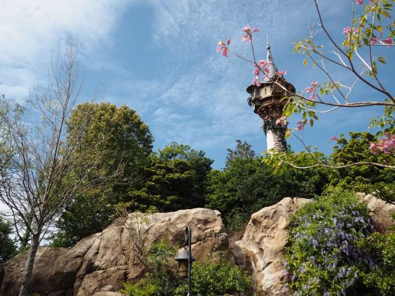 Tangled Tower at Magic Kingdom