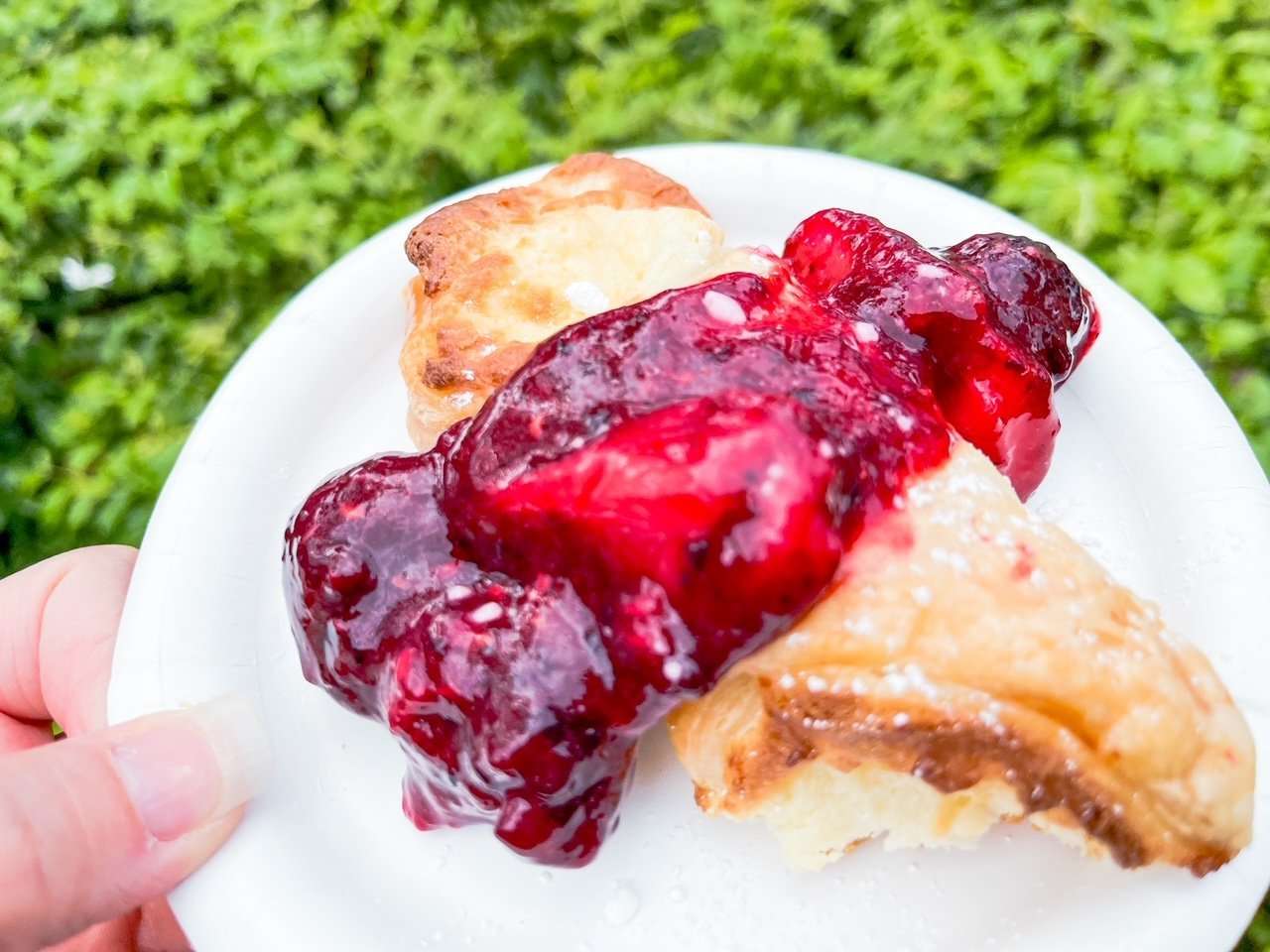Germany Cheese Struedel with fruit compote