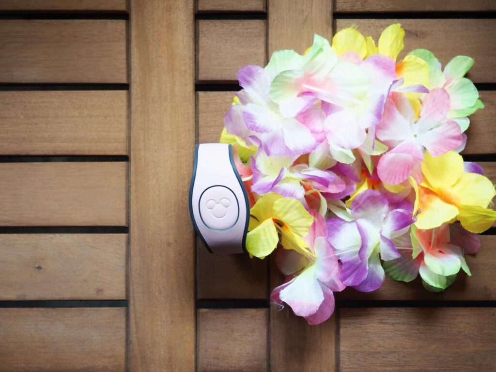 leis at disney world