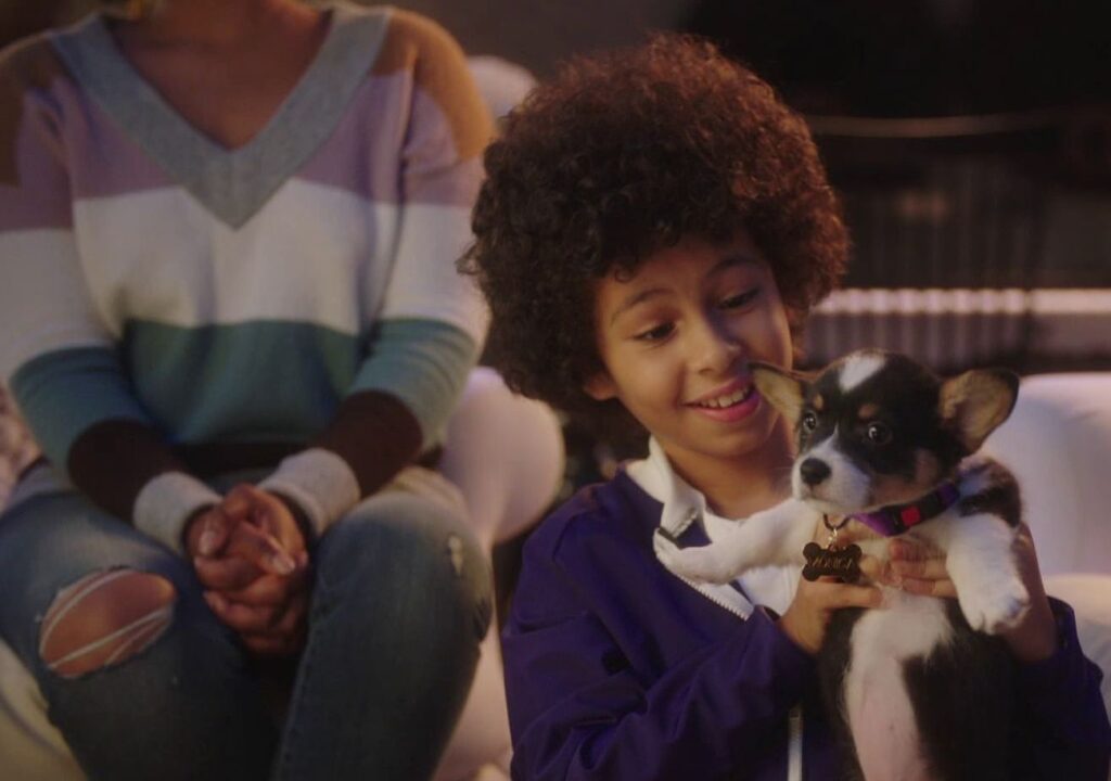 Puppy for Hanukkah Disney+