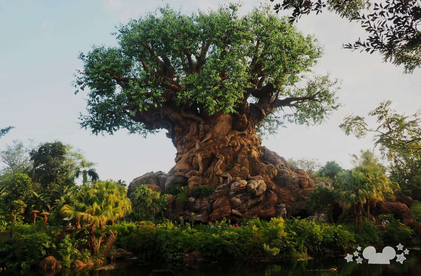 Tree of Life at Animal Kingdom