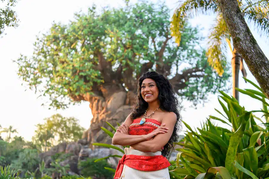Moana at Disney World Meet and Greet Animal Kingdom