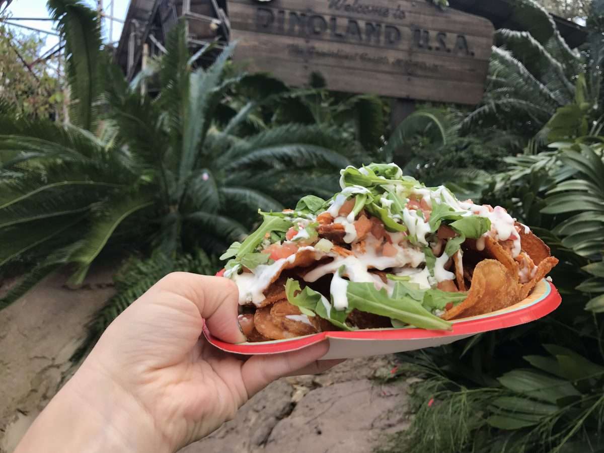 Trilo Bites Nachos at Animal Kingdom Snacks