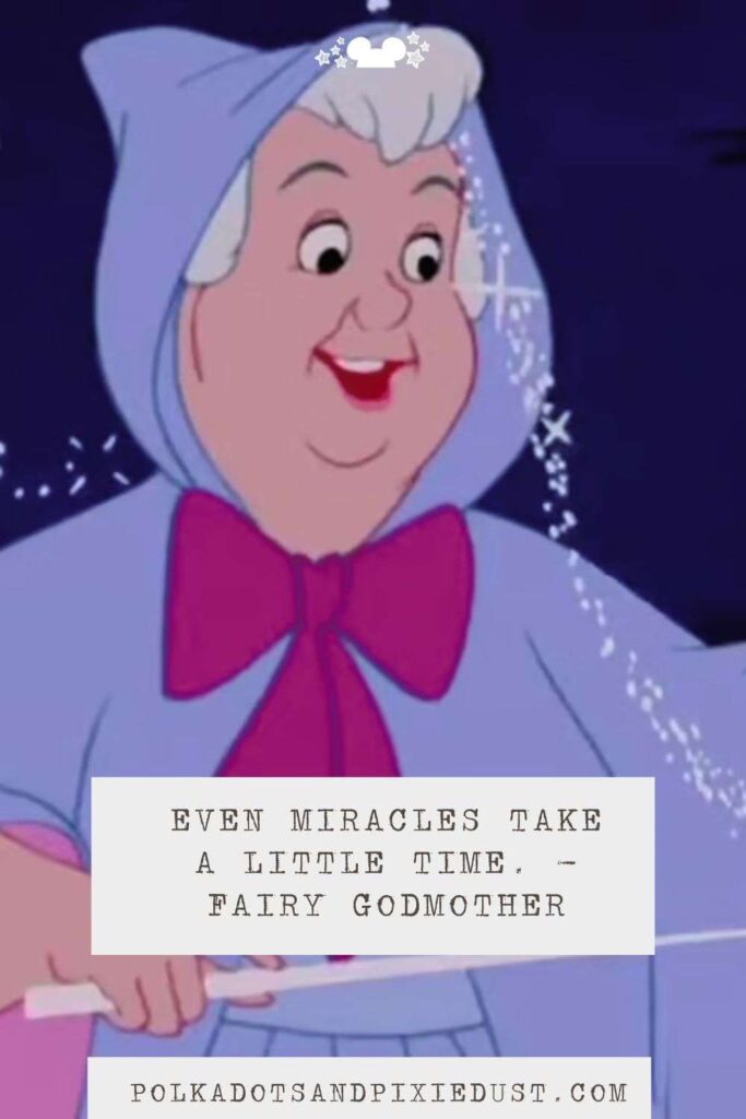 Fairy Godmother Even Miracles Take a Little Time