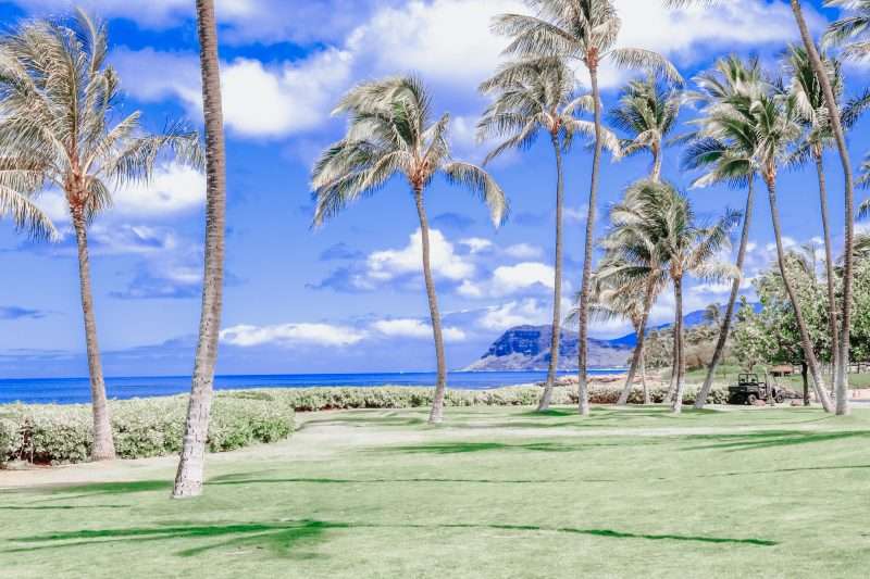 Views from Disney Aulani