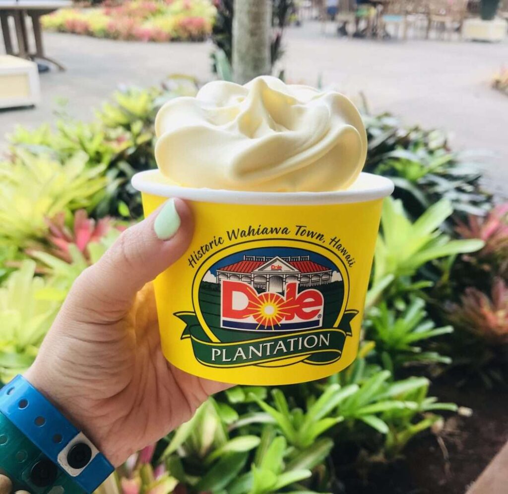Dole Whip Plantation Hawaii Disney Aulani