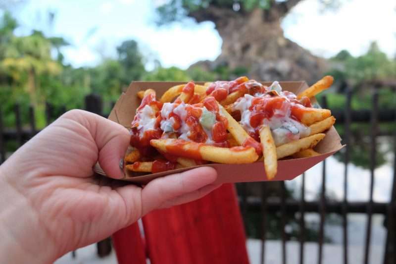 Fries at Mr Kamals Snacks at Animal Kingdom