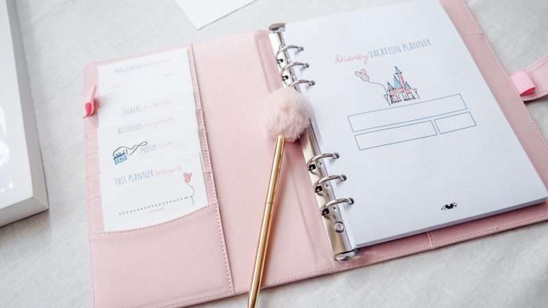 Planner Disney World Sheets