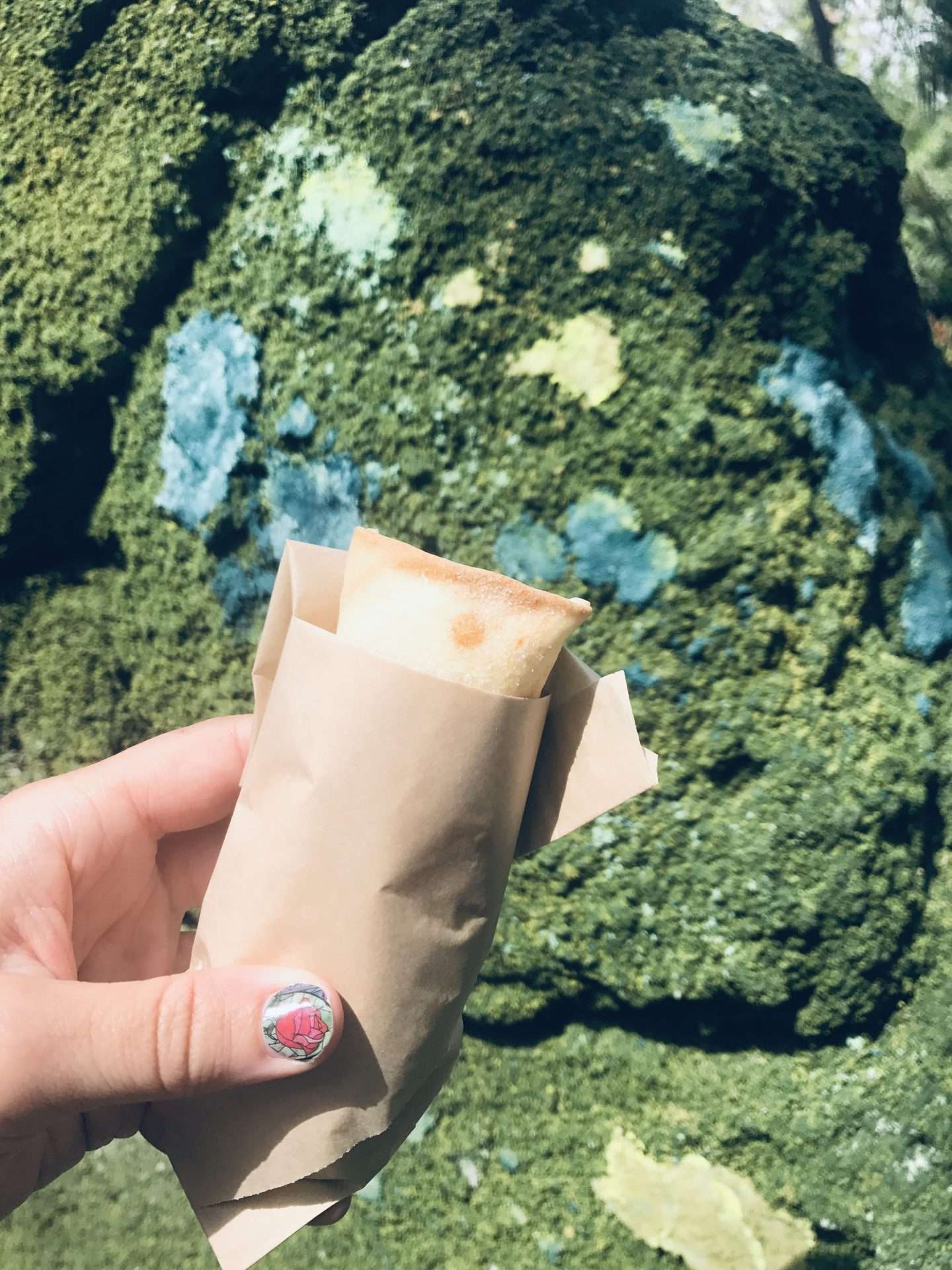 Pongu Lumpia at Pandora Animal Kingdom Snacks