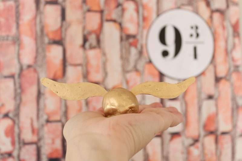 Harry Potter Party Quidditch Ball Movie Marathon