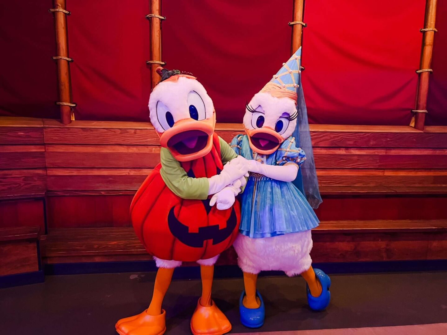 Donald and Daisy Meet and Greet Halloween Party