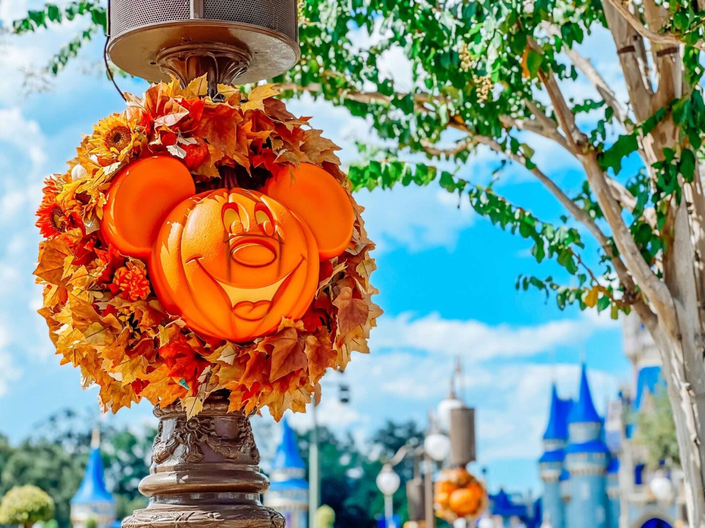 Mickey Pumpkin Wreath Fall at Disney World