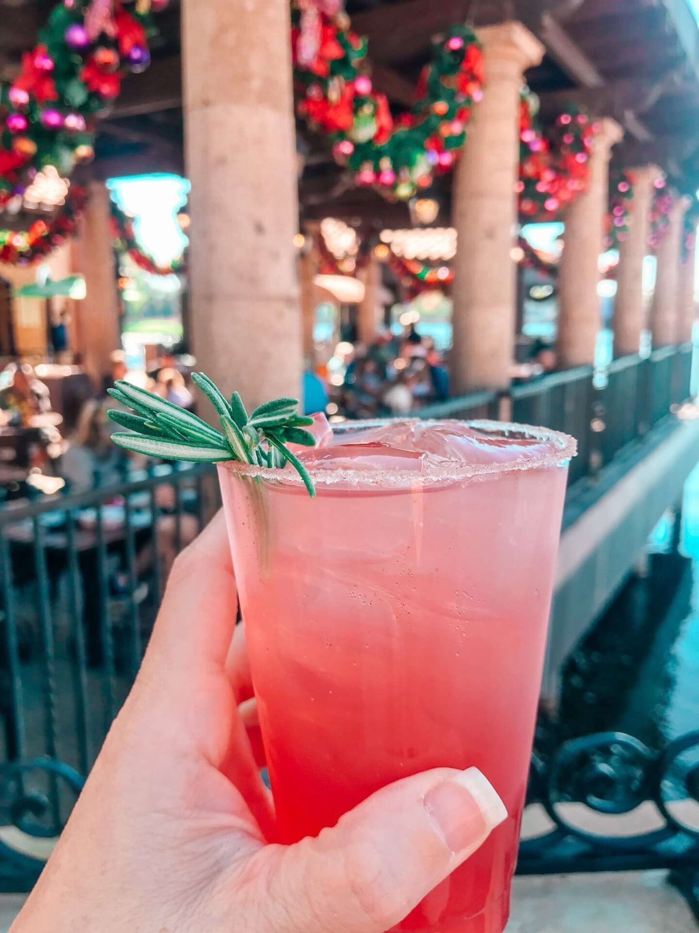 Drinks at Disney World Mexico Christmas Festival of Holidays