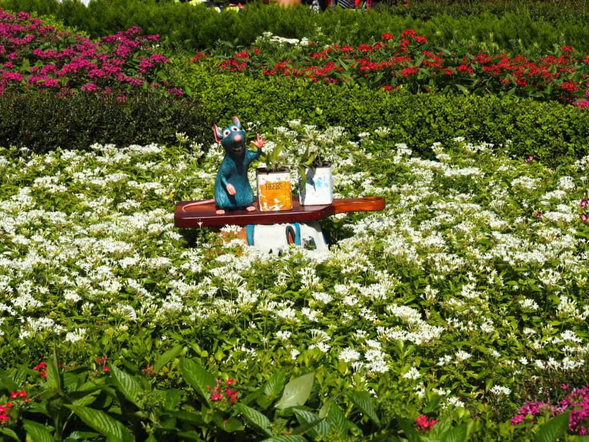 Food and Wine Remy Scavenger Hunt Game EPCOT