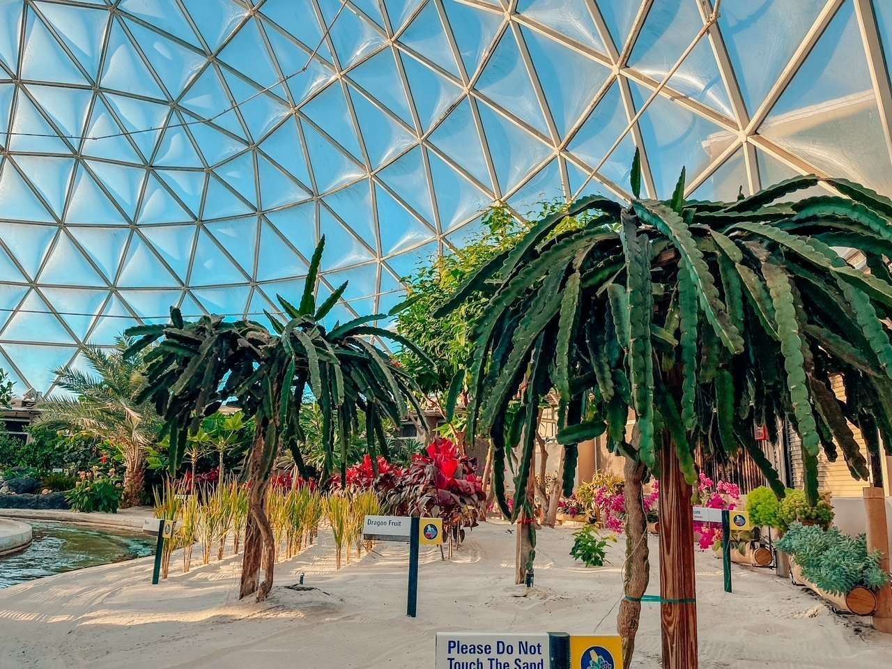 Living with the Land Ride at EPCOT Disney rides