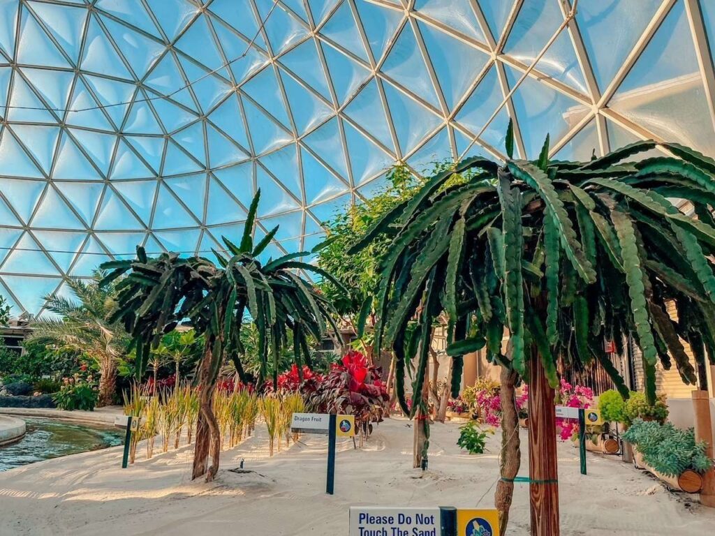 Epcot Living with the Land ride