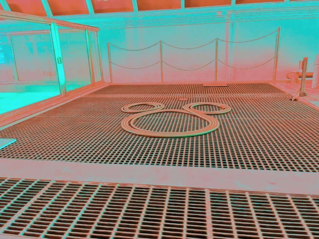 Hidden Mickey Epcot Living with the land