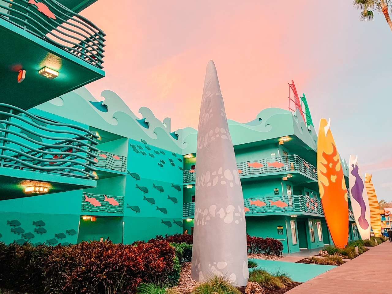 Surfing Section at All Star Sports