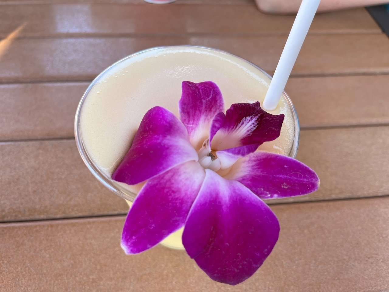 Drinks at Grog Grotto Trader Sams
