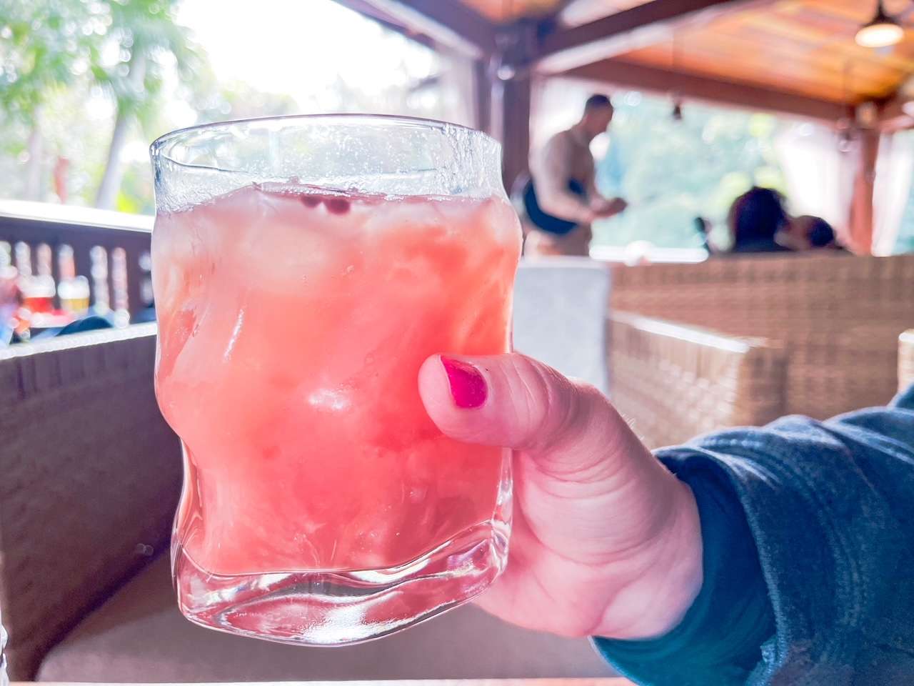 Nomad Lounge Disney World Drinks at Animal Kingdom