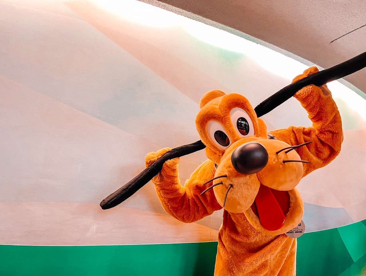 Pluto at Garden Grill Epcot Restaurant