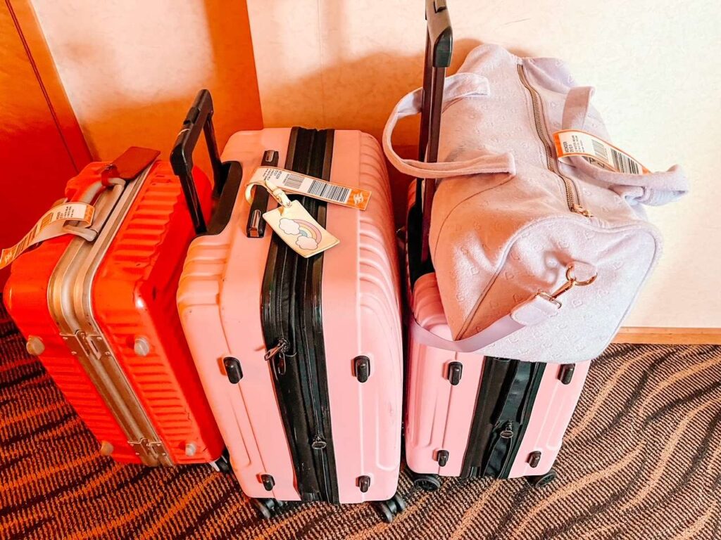 Suitcases and Luggage Disney Bag