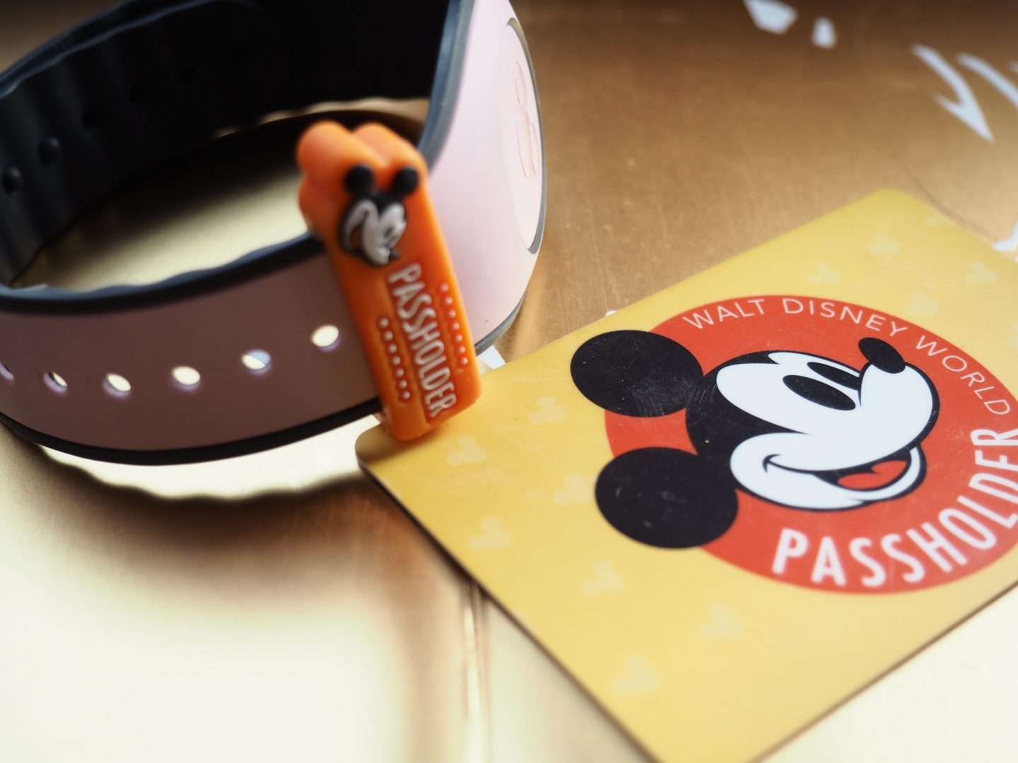 disney World Annual Passholder