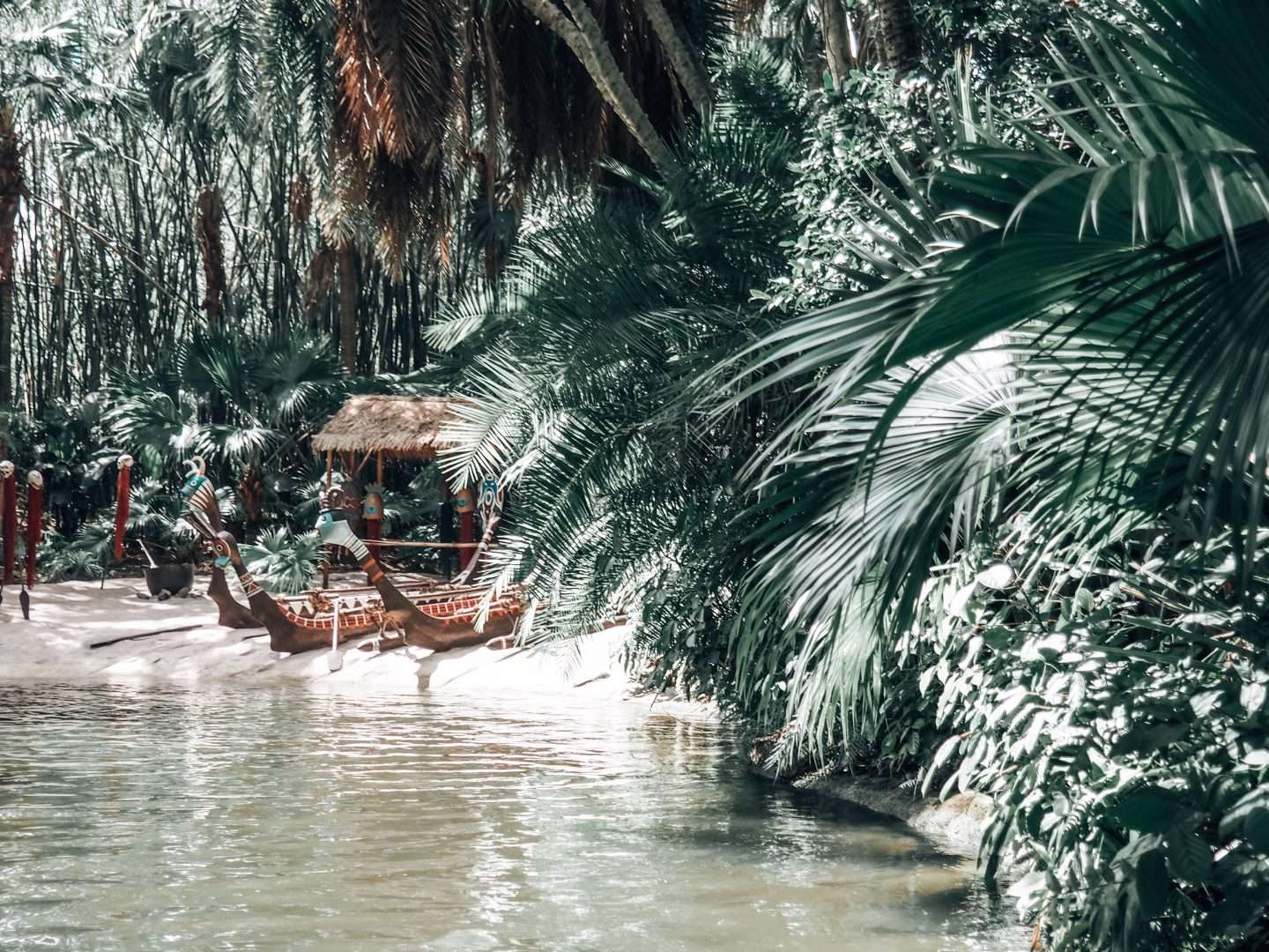 Camp at Disney World Disney Ride