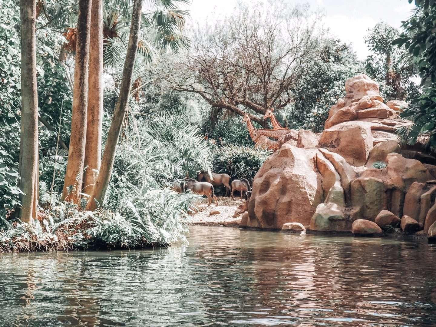 Water Ride at Disney World Boat Jungle Navigation Co