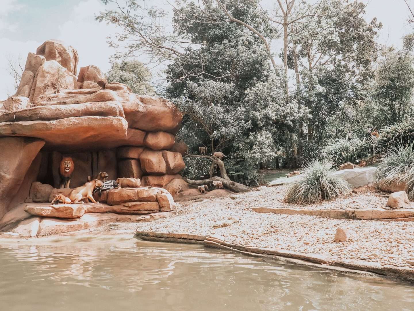 Lion Section on Jungle Cruise Ride