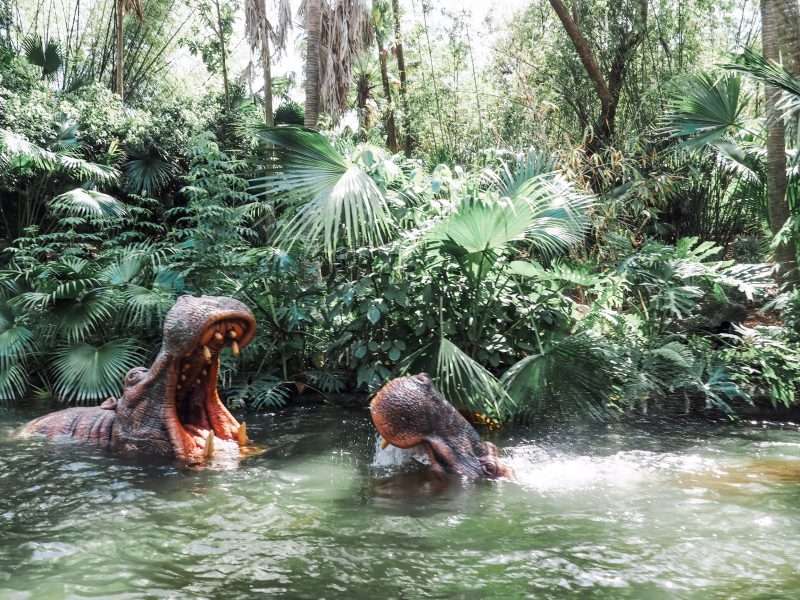 Hippos at Disney World Ride Magic Kingdom