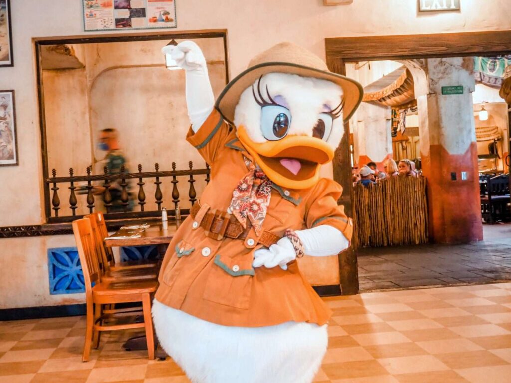 Tusker House Characters- Daisy Duck